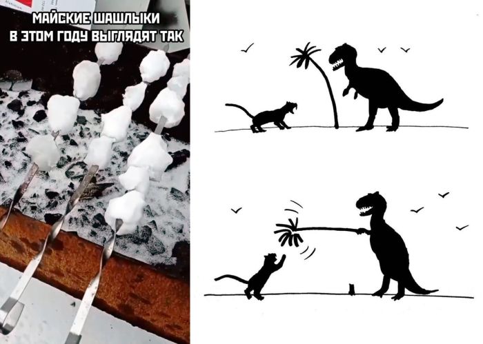 Свежая подборка забавных картинок и фото приколов для хорошего настроения