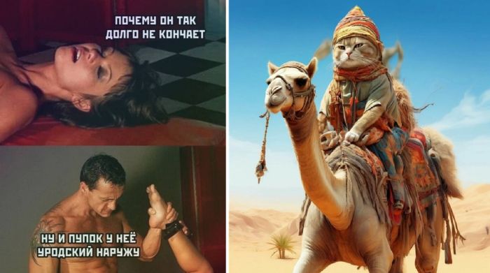 Большой сборник юмора и приколов