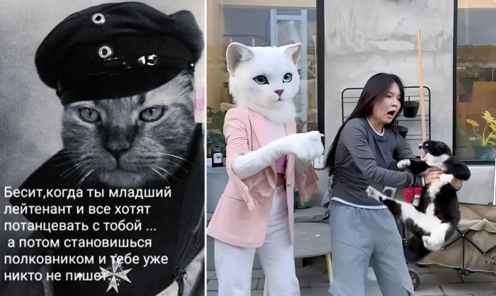 Лучшая подборка прикольных картинок и фотографий