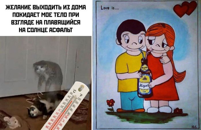 Немного приколов и юмора для настроения