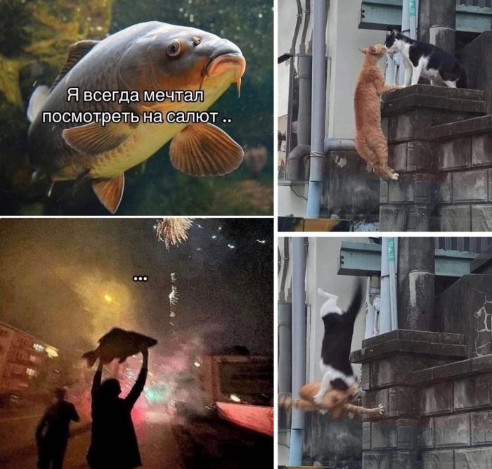 Новая подборка юмора и приколов