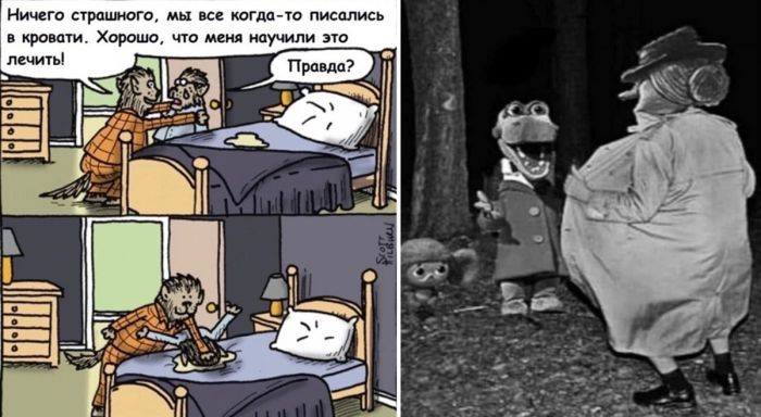 Прикольные фото для Вашего настроения