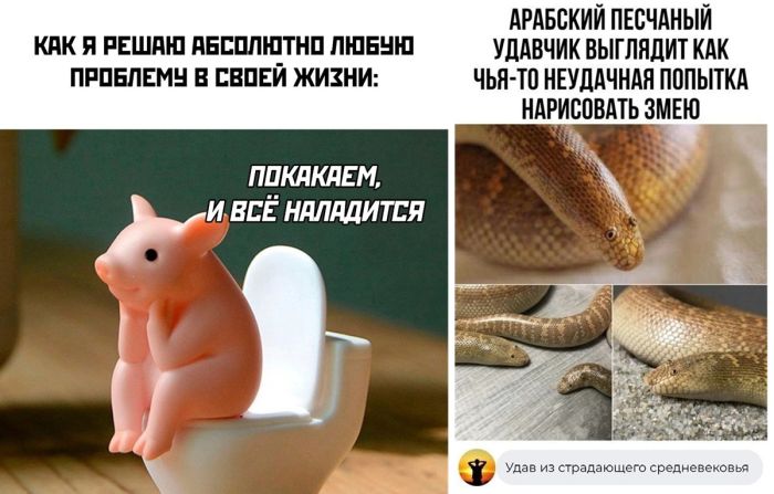 Самые смешные мемы и комментарии из соцсетей