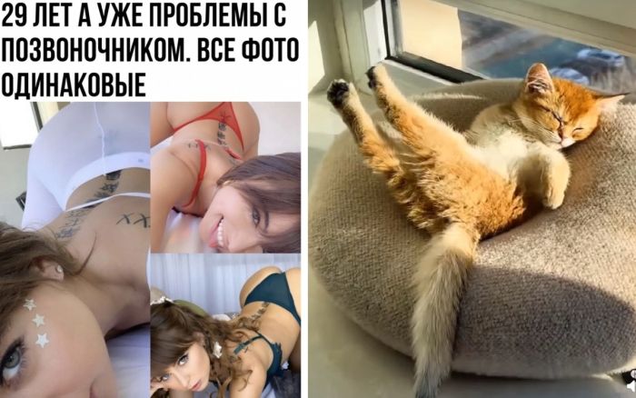 Смешные фото приколы для Вашего Настроения