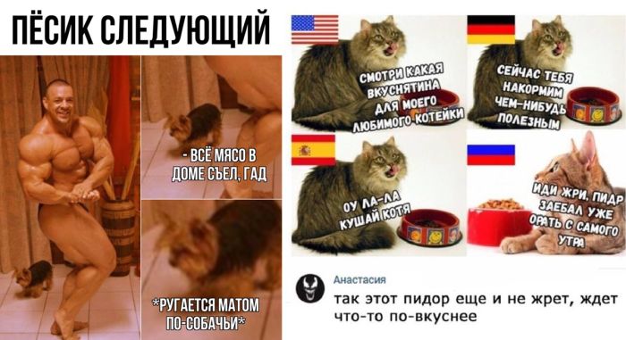 Веселые комментарии и мемы от пользователей соцсетей