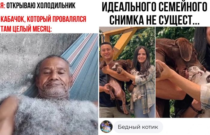 Комментарии и Мемы которые поднимут Вам настроение