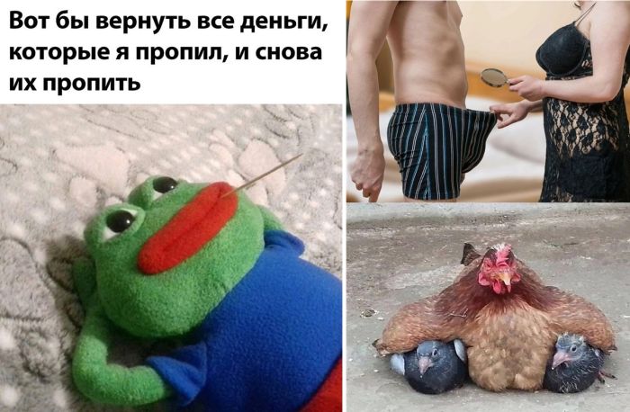 Сборник свежих фото приколов на Пятницу