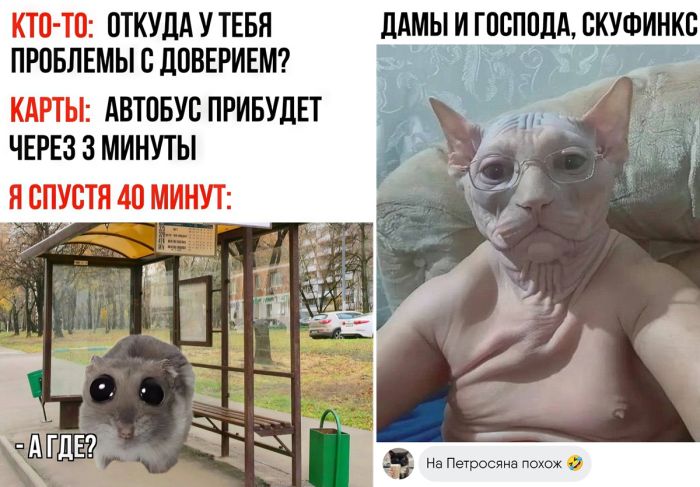 Смешные приколы в мемах комментариях