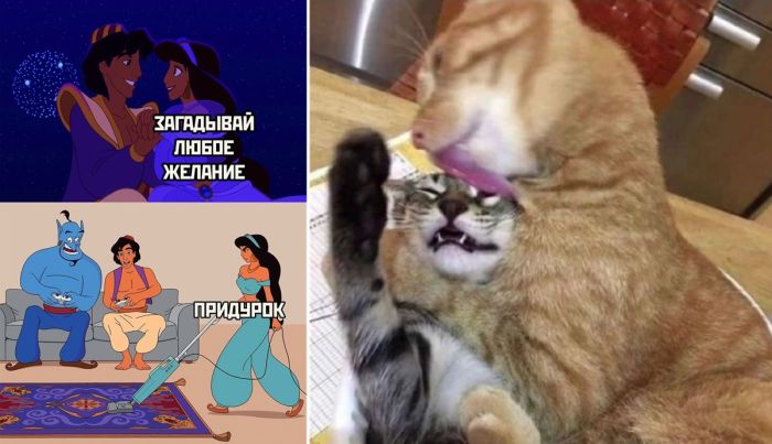 Яркие, интересные фото и прикольные картинки в пятницу