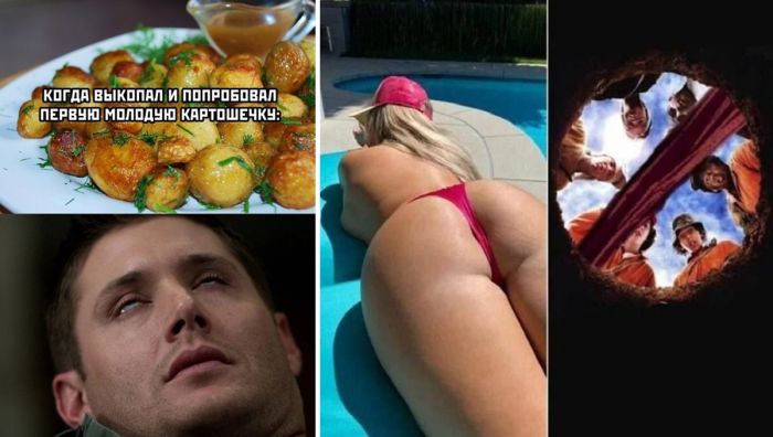 Юмора и позитива Подборка