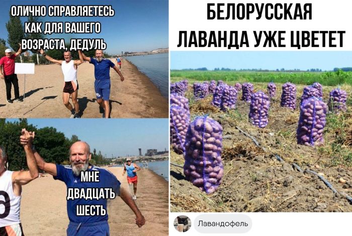 Оригинальные Мемы и смешные Комментарии