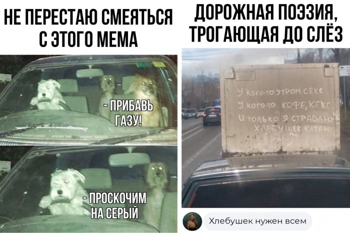 Подборка позитива и юмора в Мемах и Комментариях