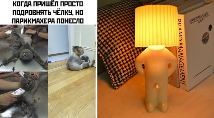 Подборка прикольных фото и смешных мемов