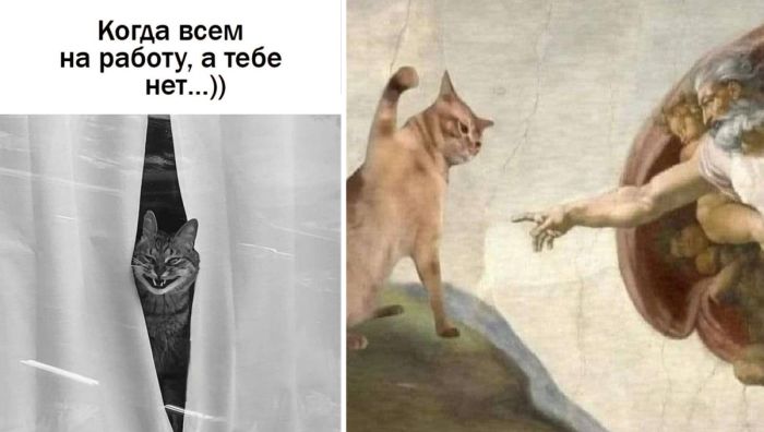 Подборка прикольных Мемов и смешных Снимков на День