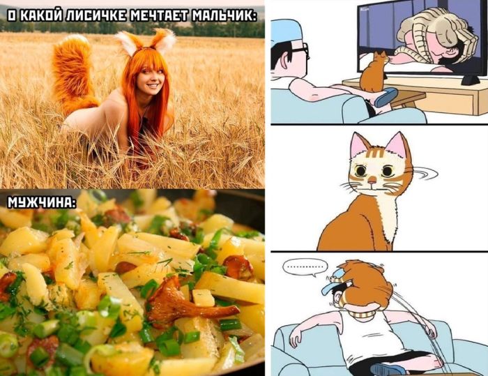 Сборник интересных, позитивных фото с Юмором