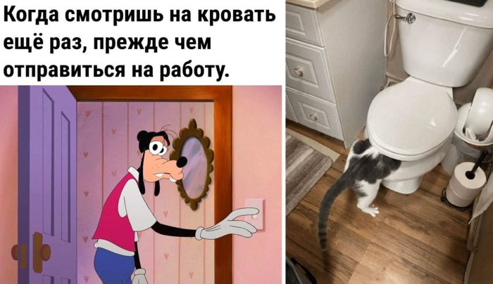 Смешные фото-приколы на пятницу