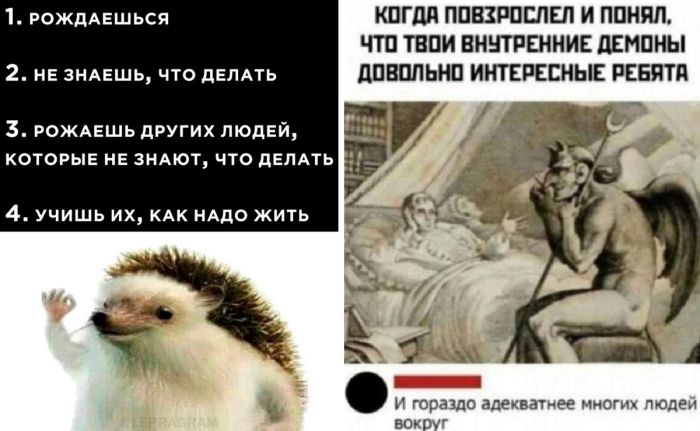 Новые Мемы и самые комментарии к ним