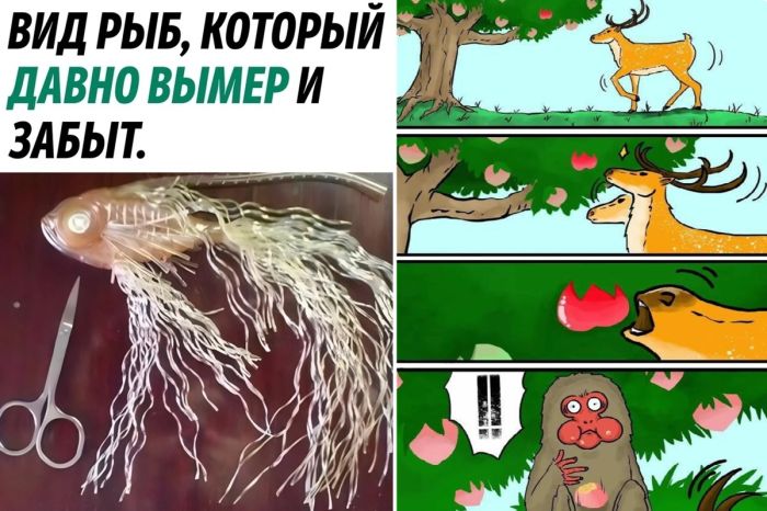 Свеженькие мемы и фото, как вы любите