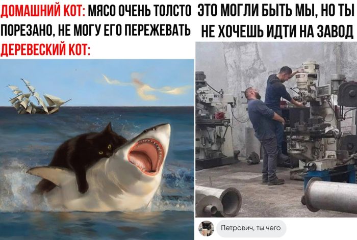 Интересные приколы с надписями