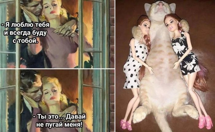 Новые самые смешные Картинки и Мемы из сети