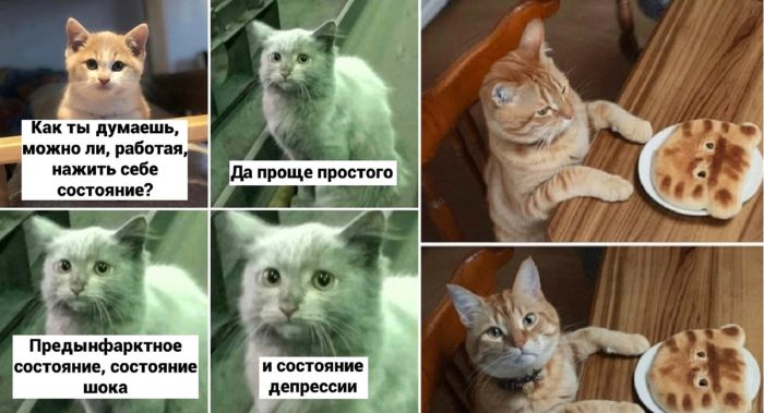 Свежая подборка прикольных мемов с надписями