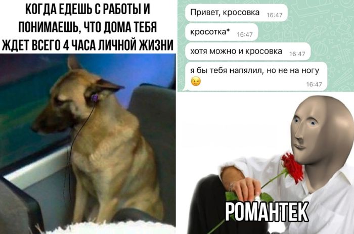 Веселые и позитивные приколы для хорошего настроения