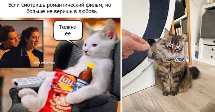 Большой сборник юмора для поднятия настроения