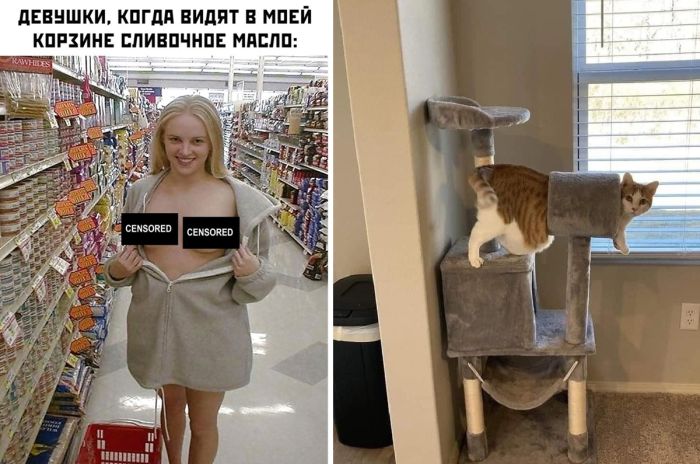 Смешные картинки с Надписями — Лучшие приколы