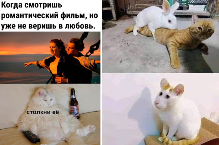 Смешной юмор в картинках