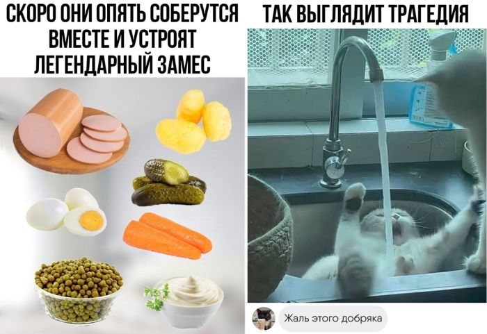 Свежие приколы и юмор
