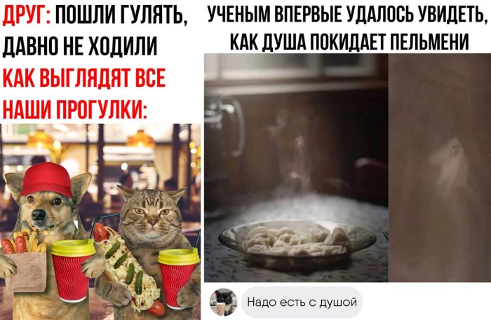 Новый сборник приколов для настроения