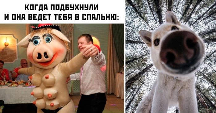 Позитивные мемы и картинки с юмором