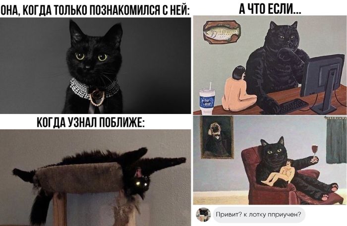 Сборник лучших Мемов и смешных Комментариев из Социальных сетей