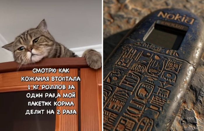 Сборник смешных картинок и юмора из интернета