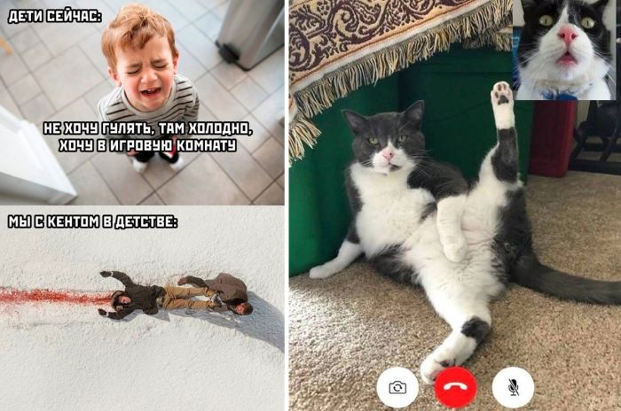 Подборка самых смешных и забавных приколов