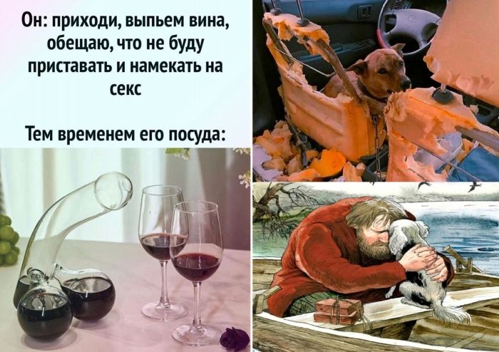 Резвая подборка приколов для настроения