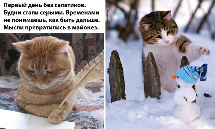 Отличные приколы для настроения