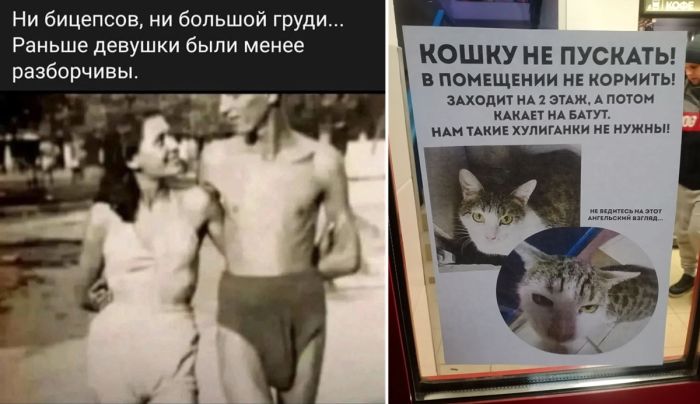 Большой сборник прикольных фото для хорошего настроения