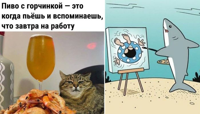 Сборник позитива в новых мемах