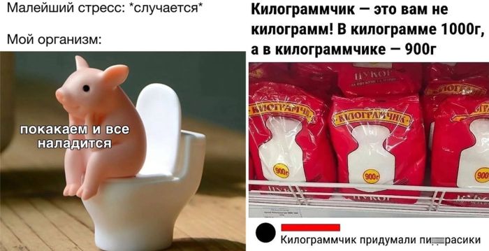 Самые юмористические картинки с подписями