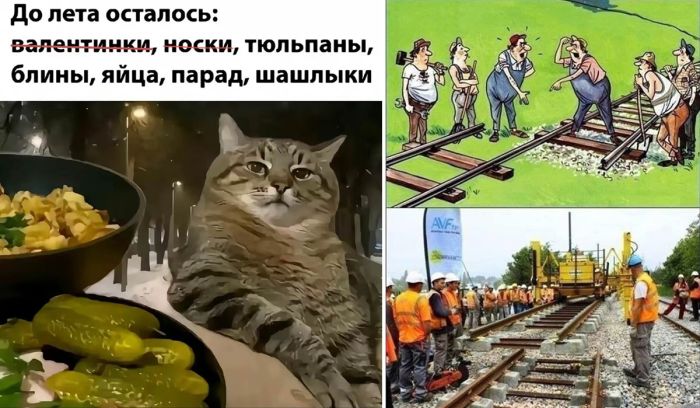 Приколы для хорошего настроения в пятницу