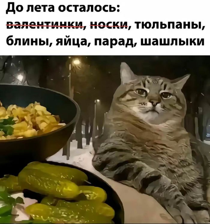 Порно Видео Лижет В Машине