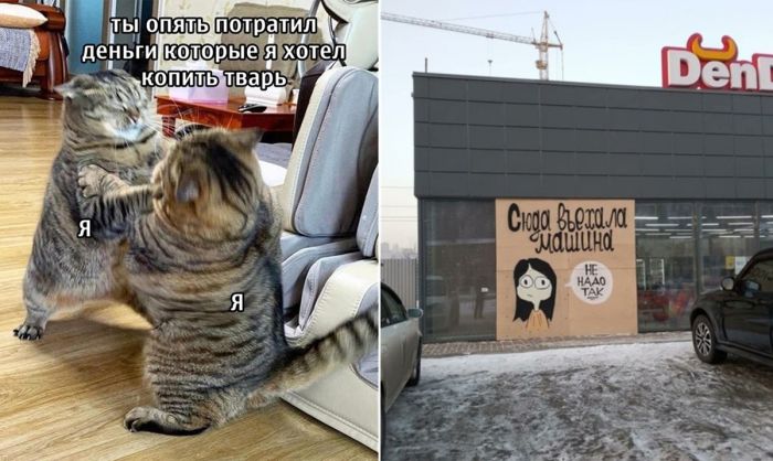 Самые смешные мемы и картинки для настроения