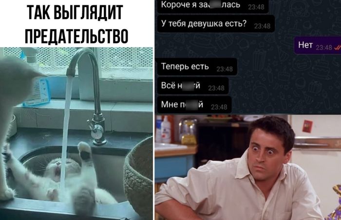 Мемы дня - Новые смешные Картинки с Надписями