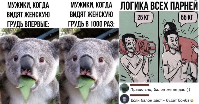 Веселые картинки и фотографии с юмором для настроения