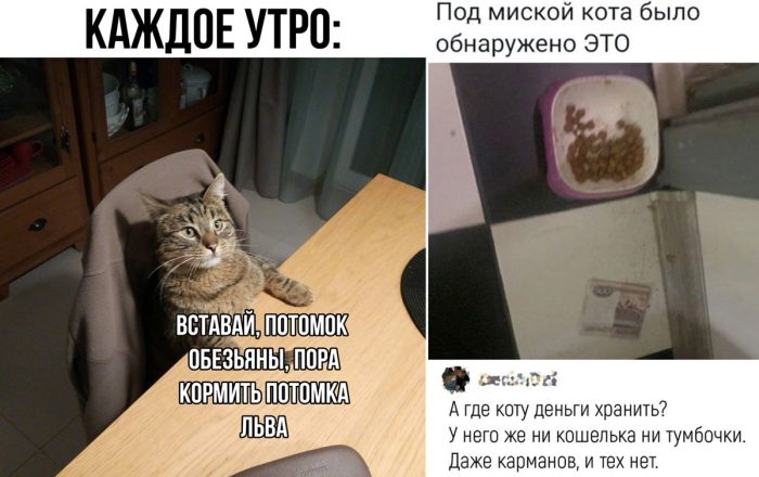 Новые приколы чтобы улыбнуться