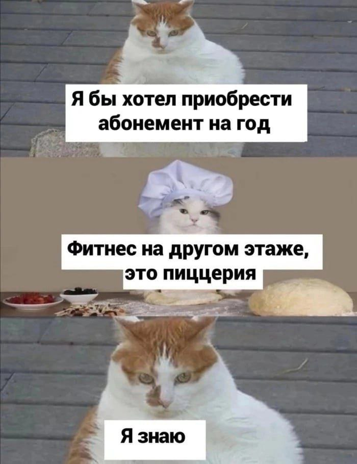 Подборка прикольных картинок и мемов, для Хорошего дня Подборка прикольных картинок и мемов, для Хорошего дня native-yes