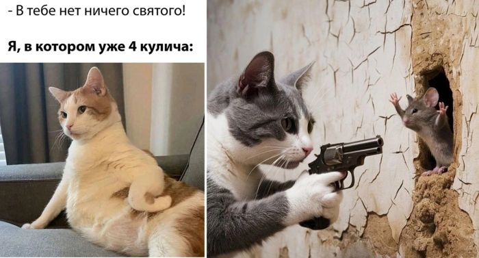 Интересная подборка веселых Мемов и Картинок