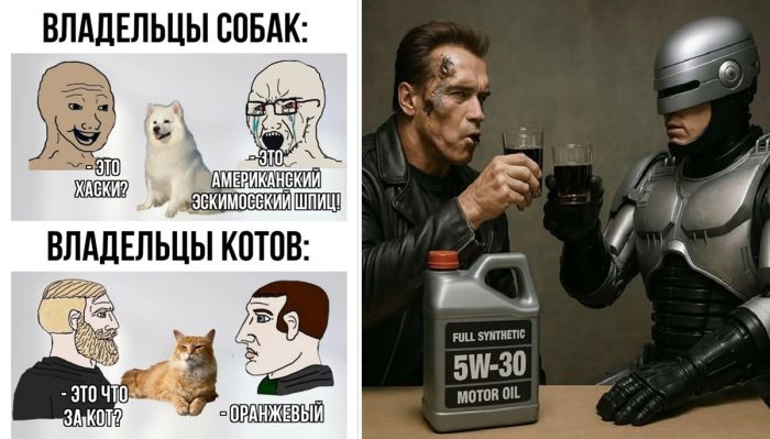 Новая подборка юмора и приколов в смешных Мемах