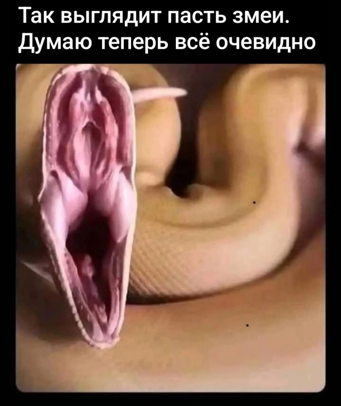 Подборка прикольных картинок и мемов, для Хорошего дня Подборка прикольных картинок и мемов, для Хорошего дня native-yes